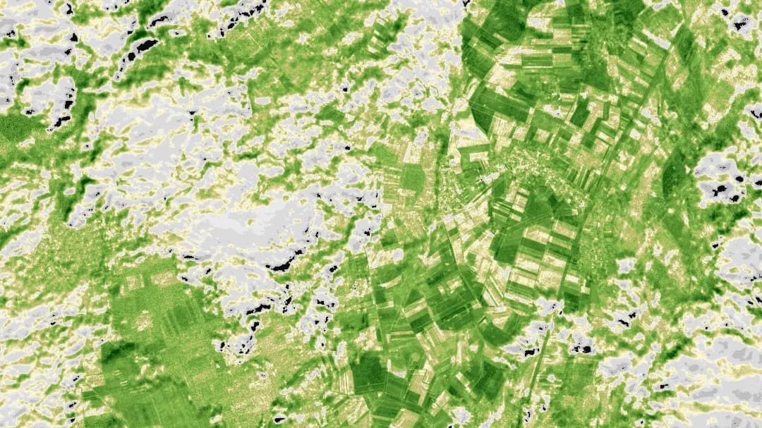 NDVI index visualization for precision agriculture, forestry, and land management applications